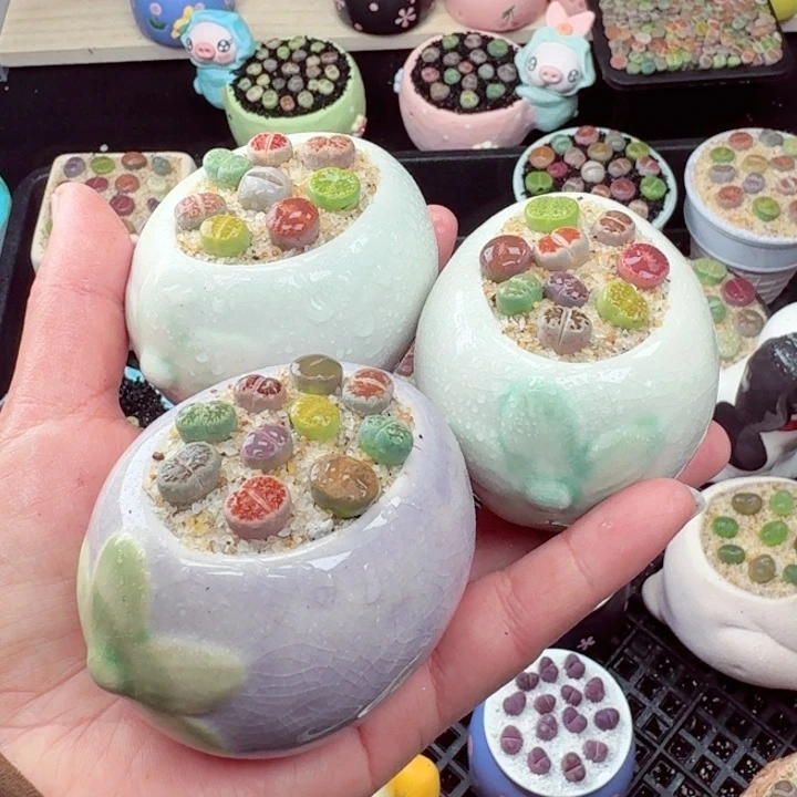 552零下地区记得拍保温箱