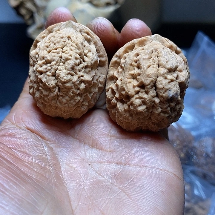 把件文玩核桃云南铁核桃基地35
