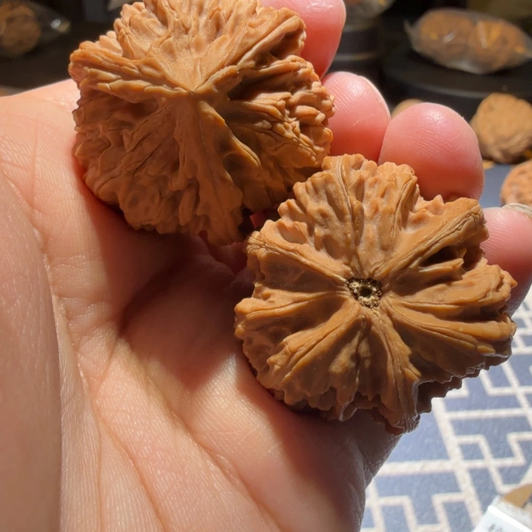 *****文玩核桃把件御龙正奔