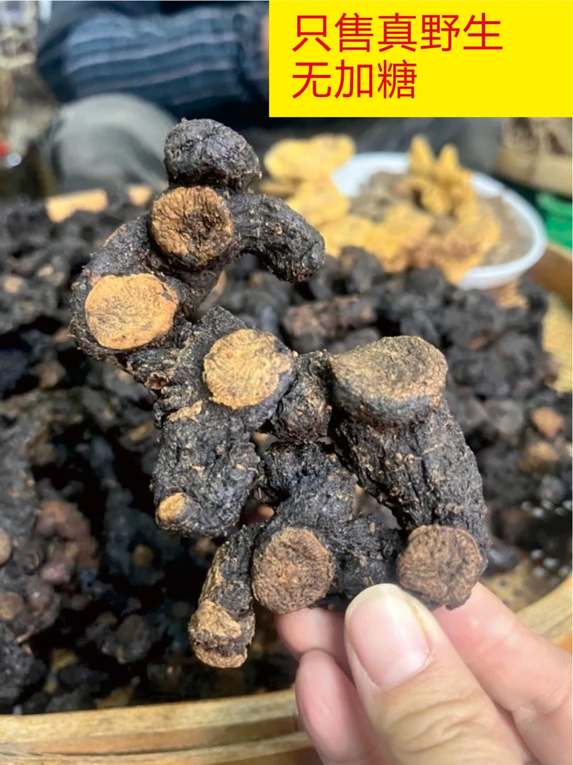 雪山 野 仙人余粮（古法）清远连州