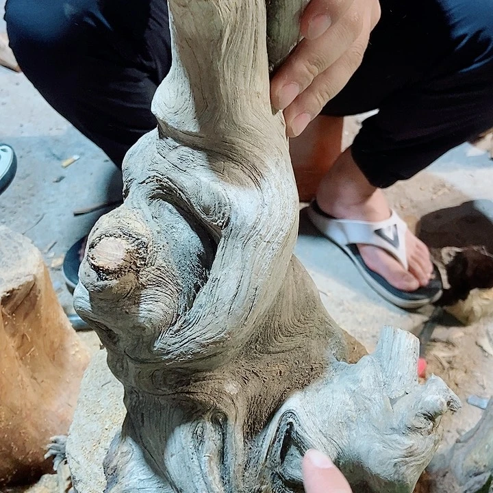 腾***鸿柏木太行山区柏木木木