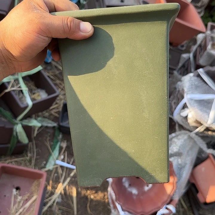 不是很清楚了我说你什么