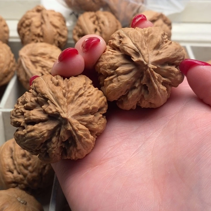 精***c把件文玩核桃霸王龙