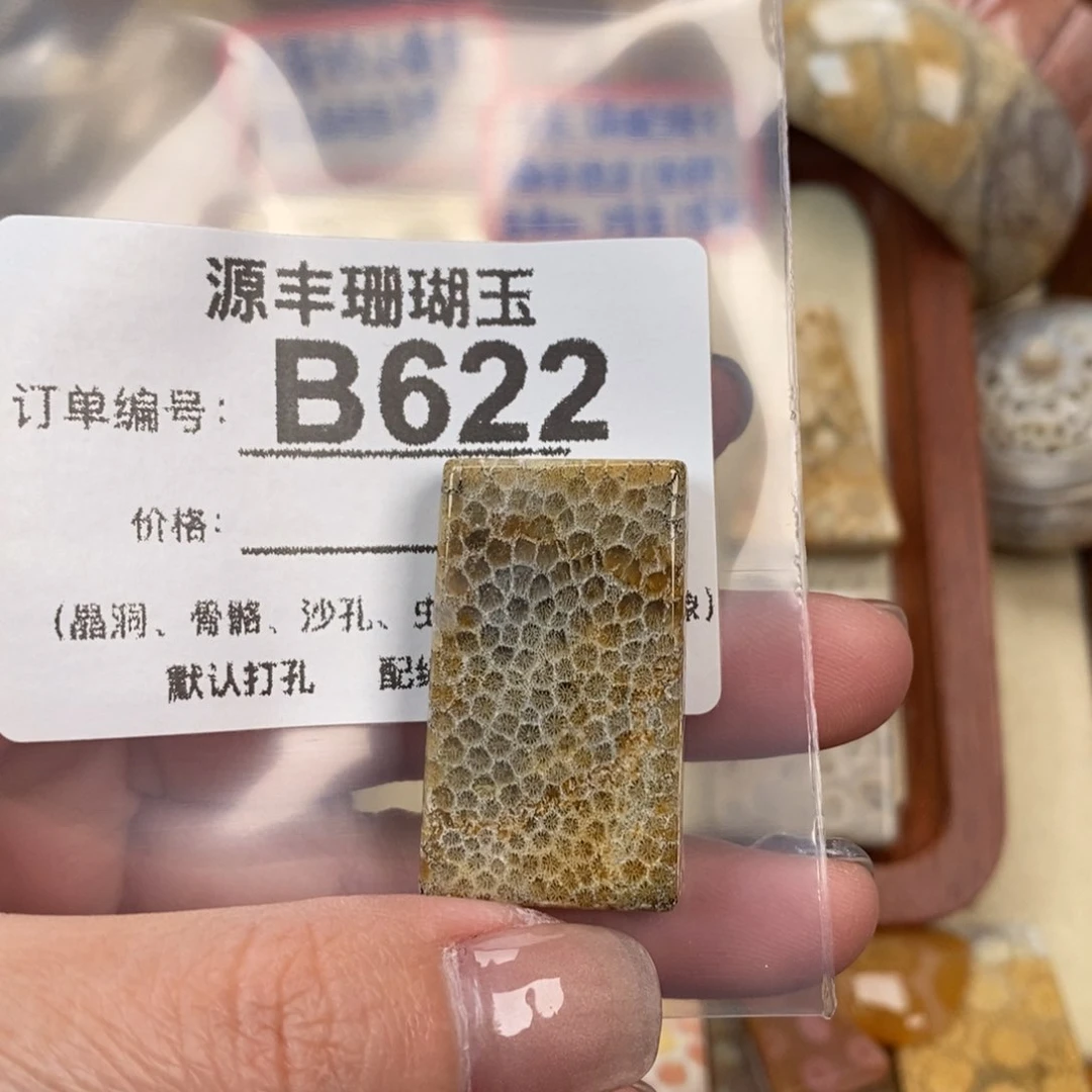 硅化玉颈饰未镶嵌萤****`
