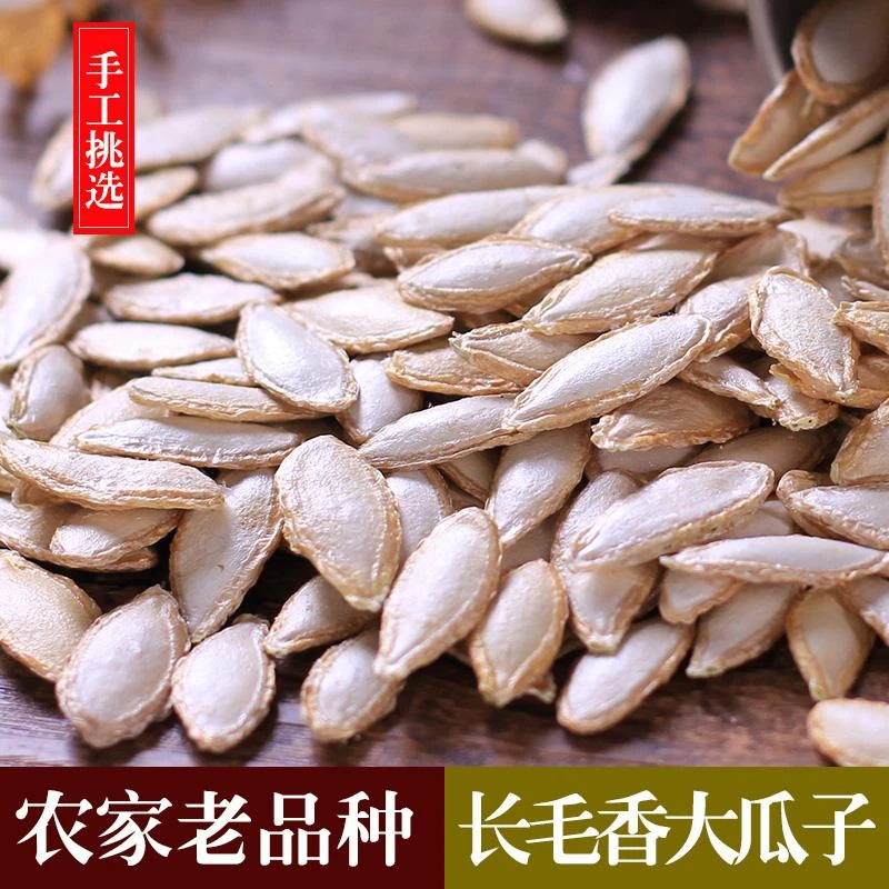 生南瓜子云南老品种南瓜大粒毛边南瓜子饱满长毛香南瓜籽