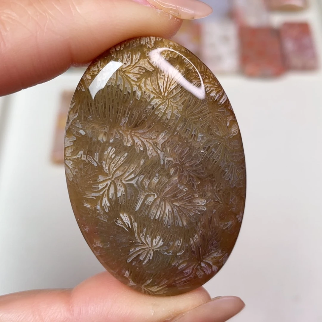 【闪购商品】未镶嵌吊坠(赠链)硅化玉