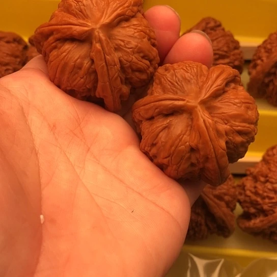 光***！核桃核桃核桃核桃核桃