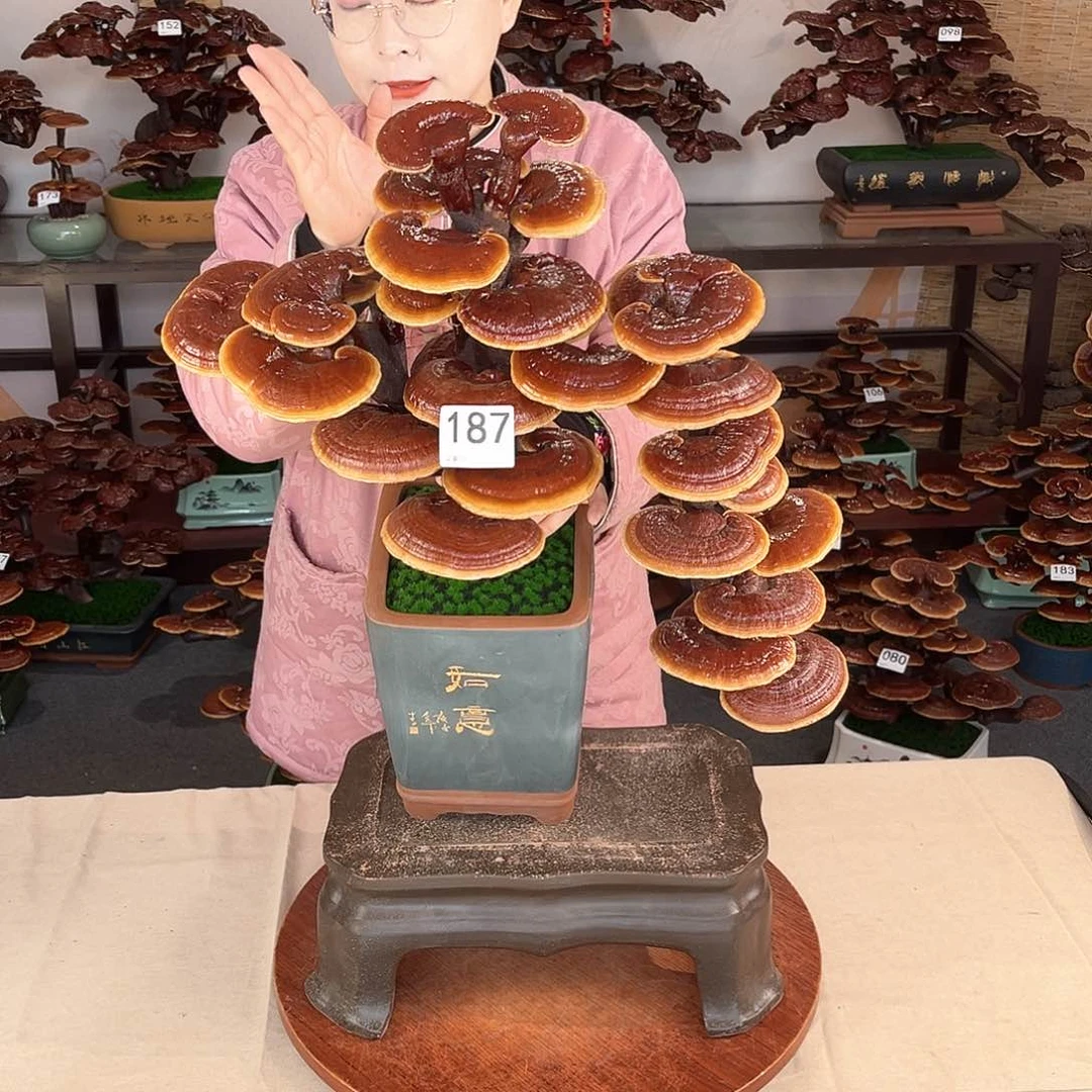 万事如意88888187