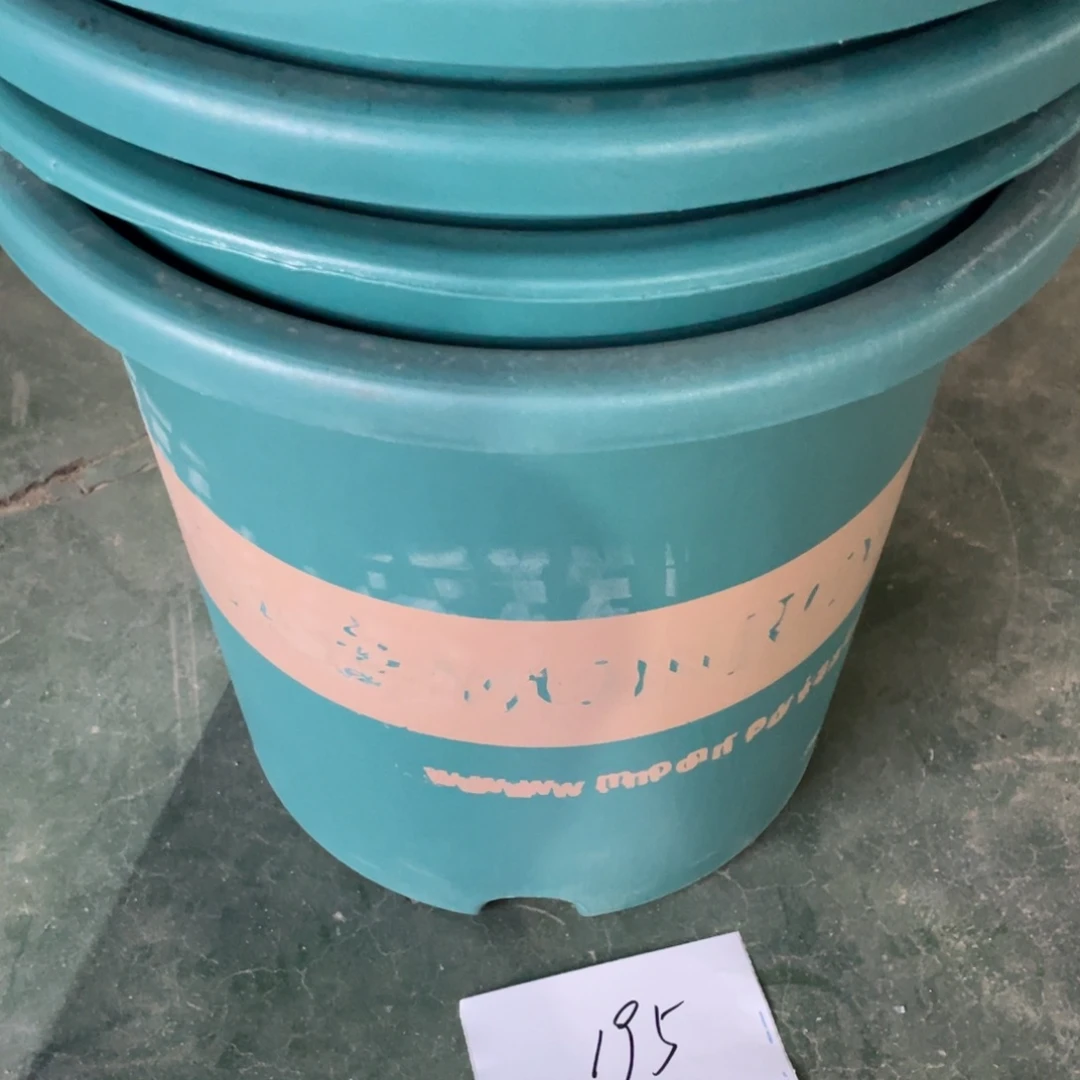 编号是195号和195号的