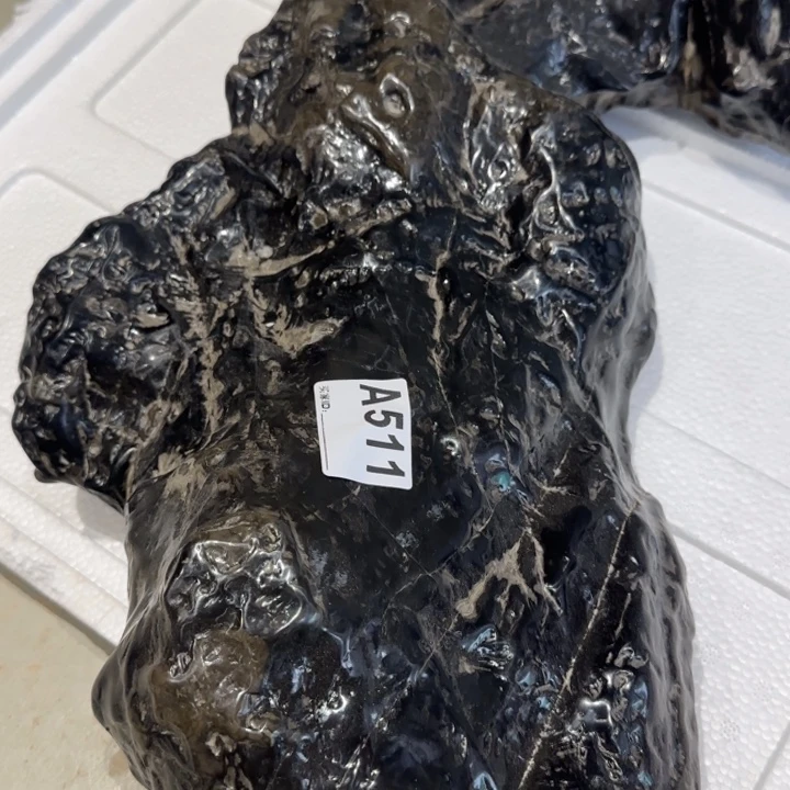 城***阅1111111111111111111111111