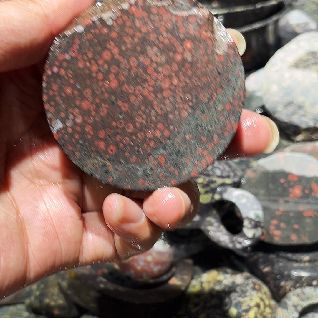 梅花玉精品茶周边