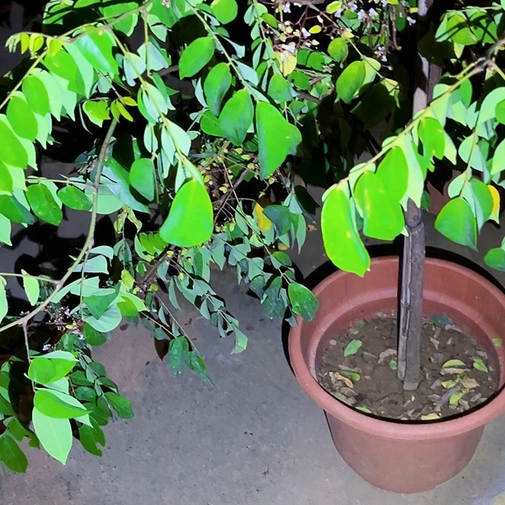 软***软完全开放1111111111111111111111