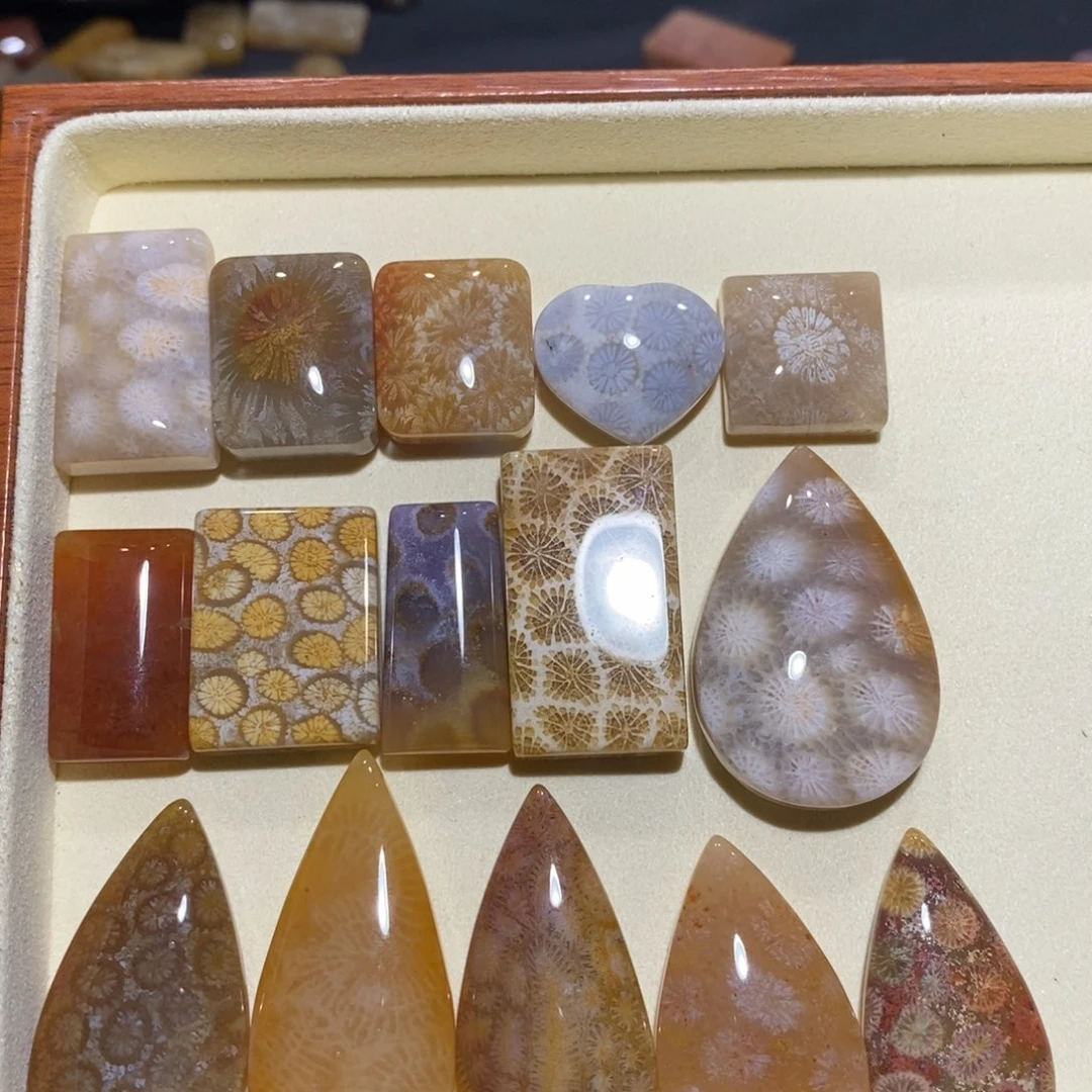 【闪购商品】未镶嵌珊瑚玉硅化玉50一个 挑选上定向