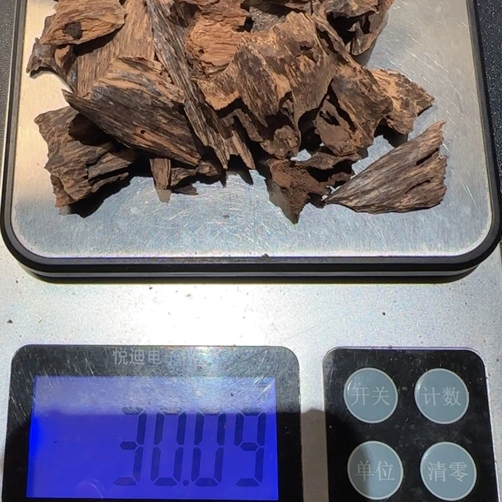 沉香摆件狮*山海南黎峒老虫漏30克