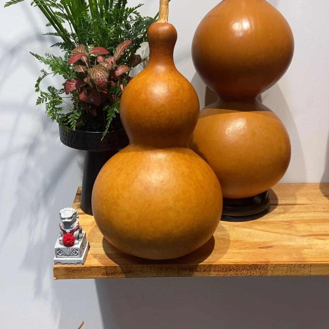 用***2哈哈哈哈哈哈哈哈哈哈哈