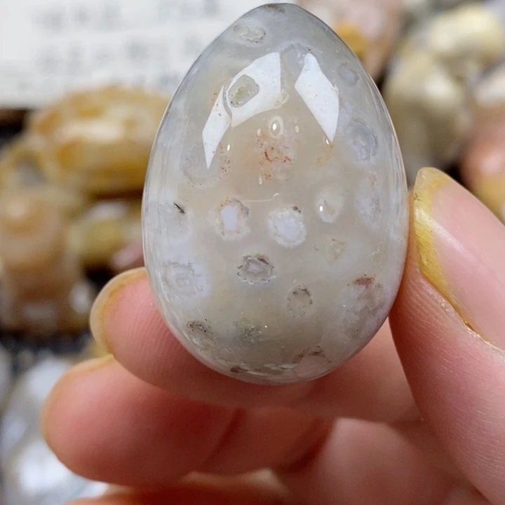 颈饰未镶嵌硅化珊瑚（珊瑚玉）