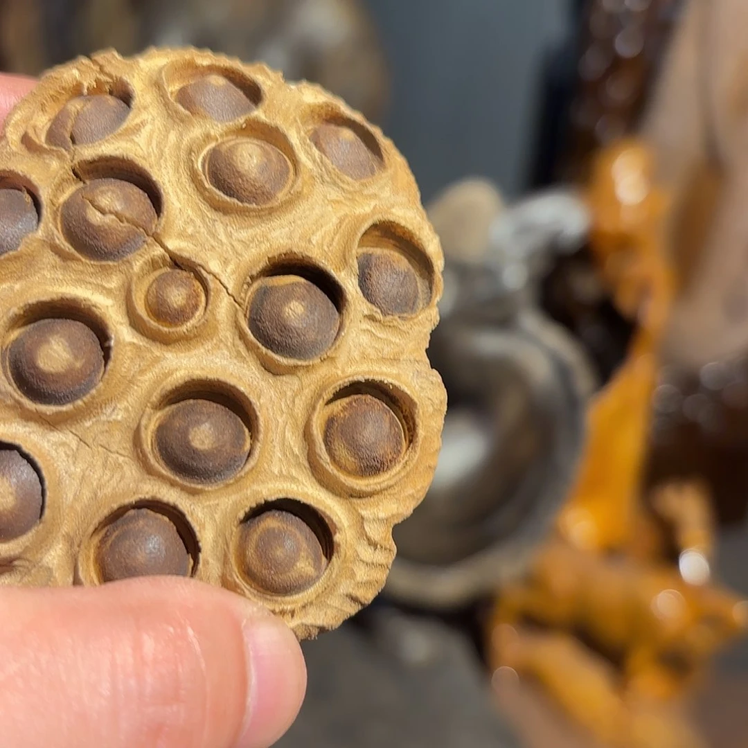 金丝楠楠*哥金丝楠竹莲蓬