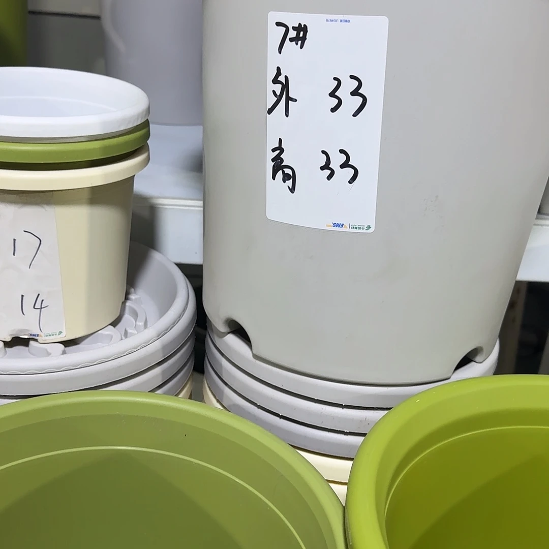 树脂四季7号无托6个灰白微瑕