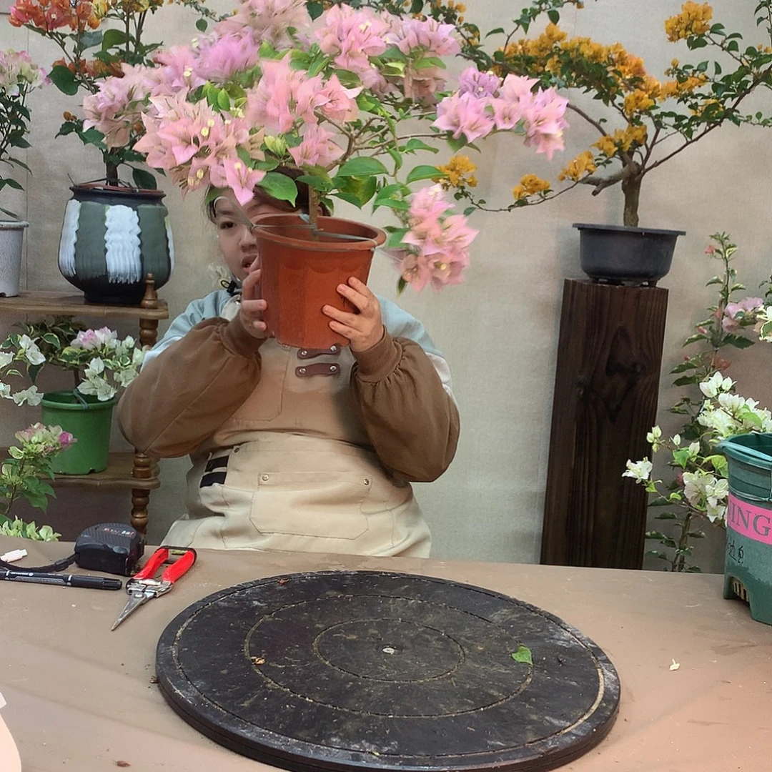 完全开放5055，粉天使