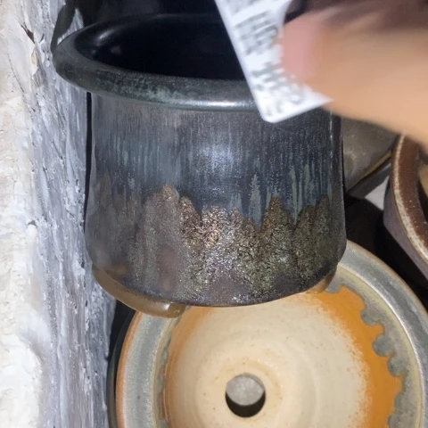 罐5400 微瑕38包邮景德镇陶瓷