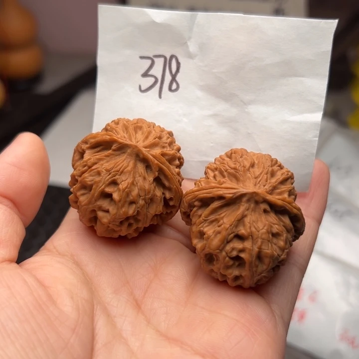 核桃36尺寸苹果园