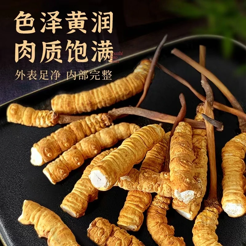【日照金山】头茬【鲜断草20克】适合自用鲜断冬虫夏草