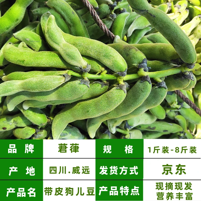 【狗儿豆新鲜现摘现发农家带皮狗儿豆去皮狗儿豆龙爪豆猫猫豆真空