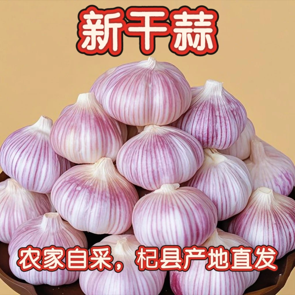【2025新干蒜】紫白皮干蒜农家自种可吃辛辣提香