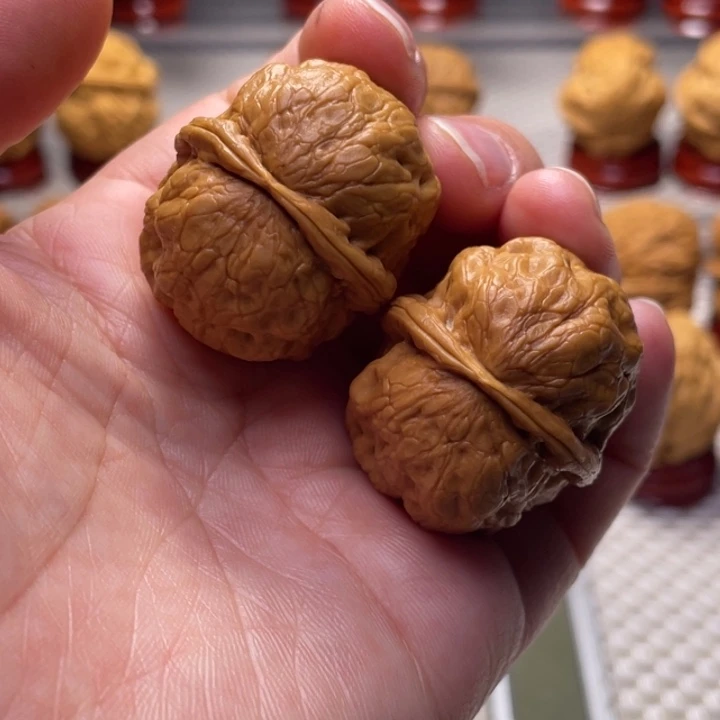 文玩核桃把件24肌肉蟾