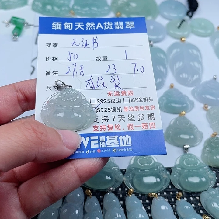 翡翠颈饰银S925镶嵌天然翡翠吊坠