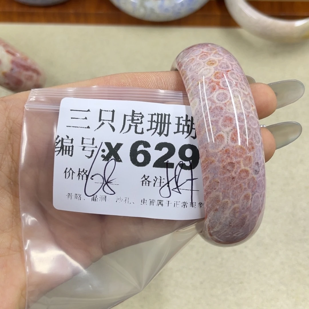 无***念硅化珊瑚（珊瑚玉）未镶嵌h