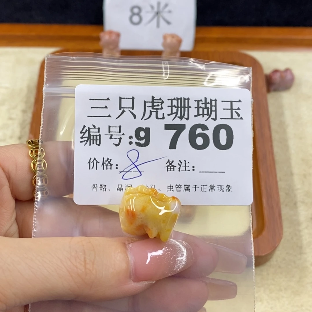 硅化珊瑚（珊瑚玉）未镶嵌1白*