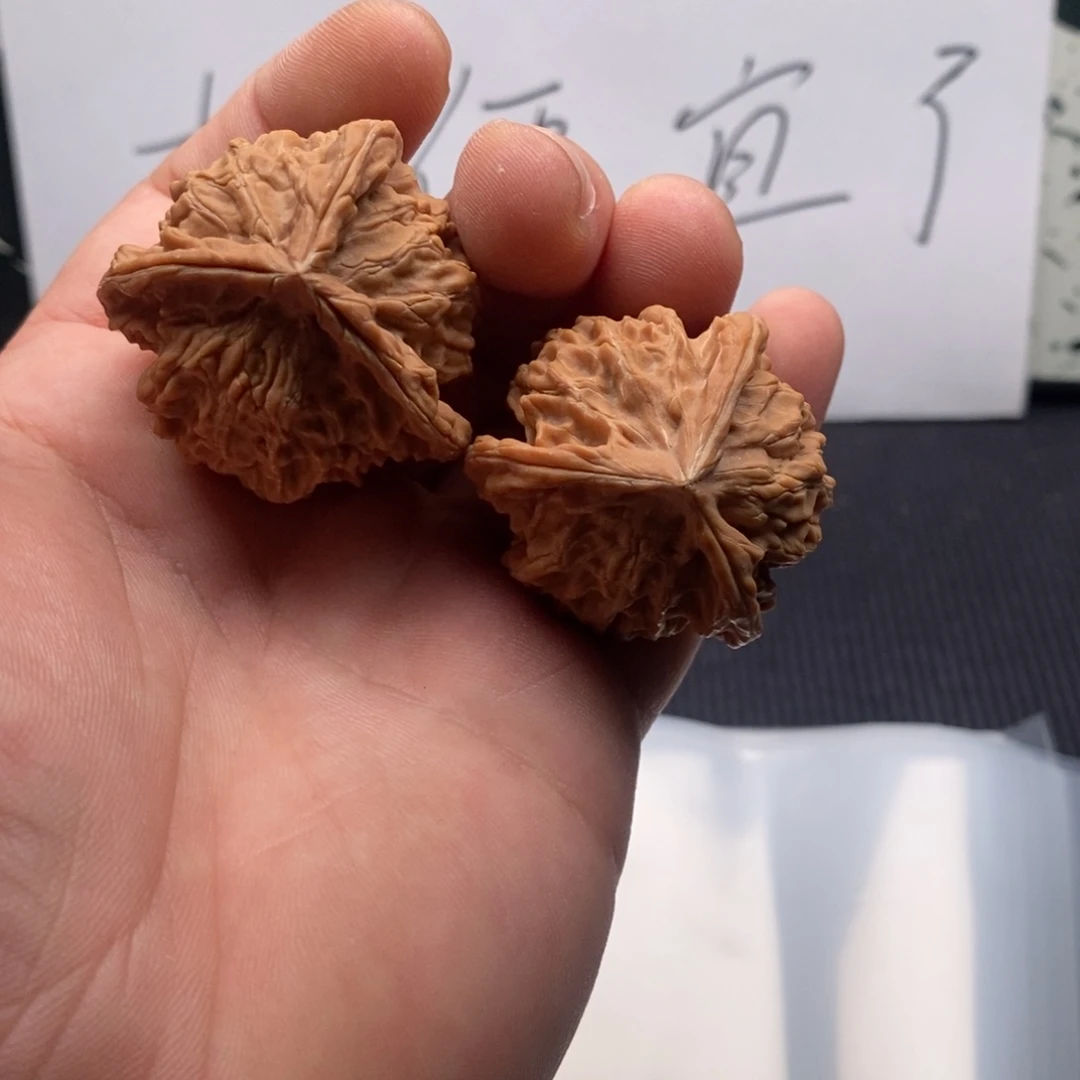 核桃哈哈哈哈哈哈哈哈哈哈