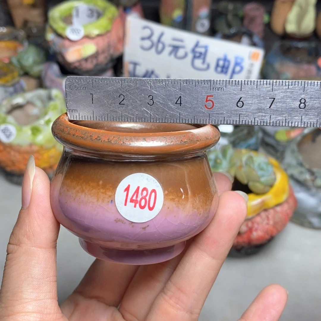 拍4送一个小礼物