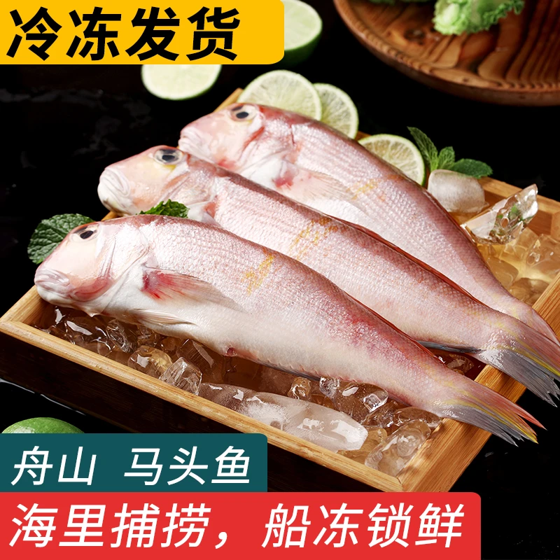 舟山马头鱼新鲜冷冻海捕马面鱼方头鱼斧头鱼甘雕宁波东海海鲜水产
