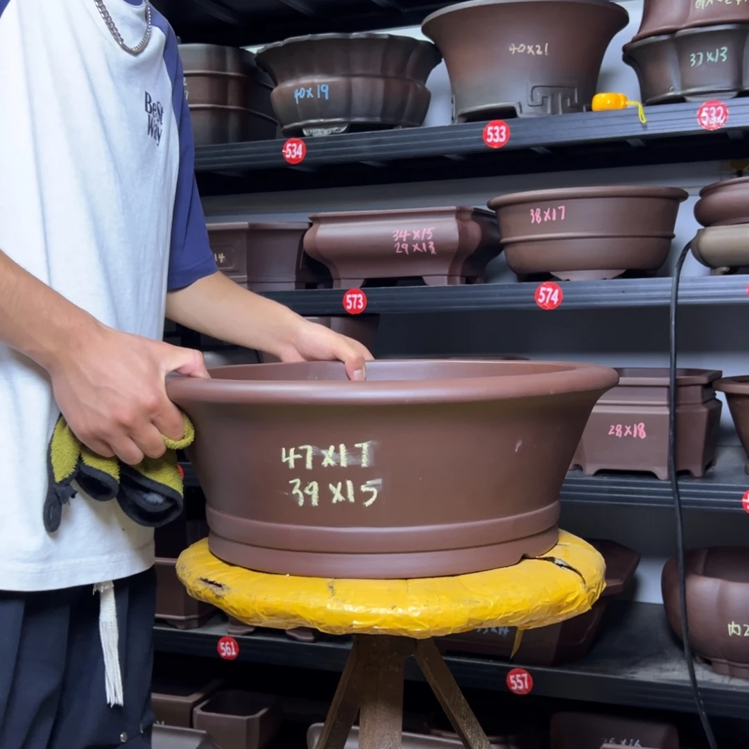 紫砂其他呜呜呜呜