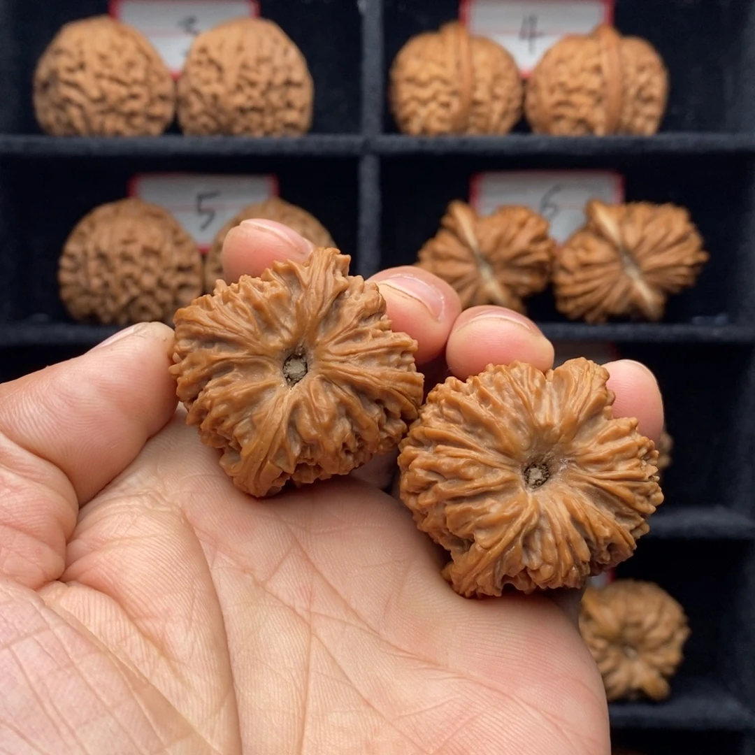 核***儿把件文玩核桃41尺南疆石