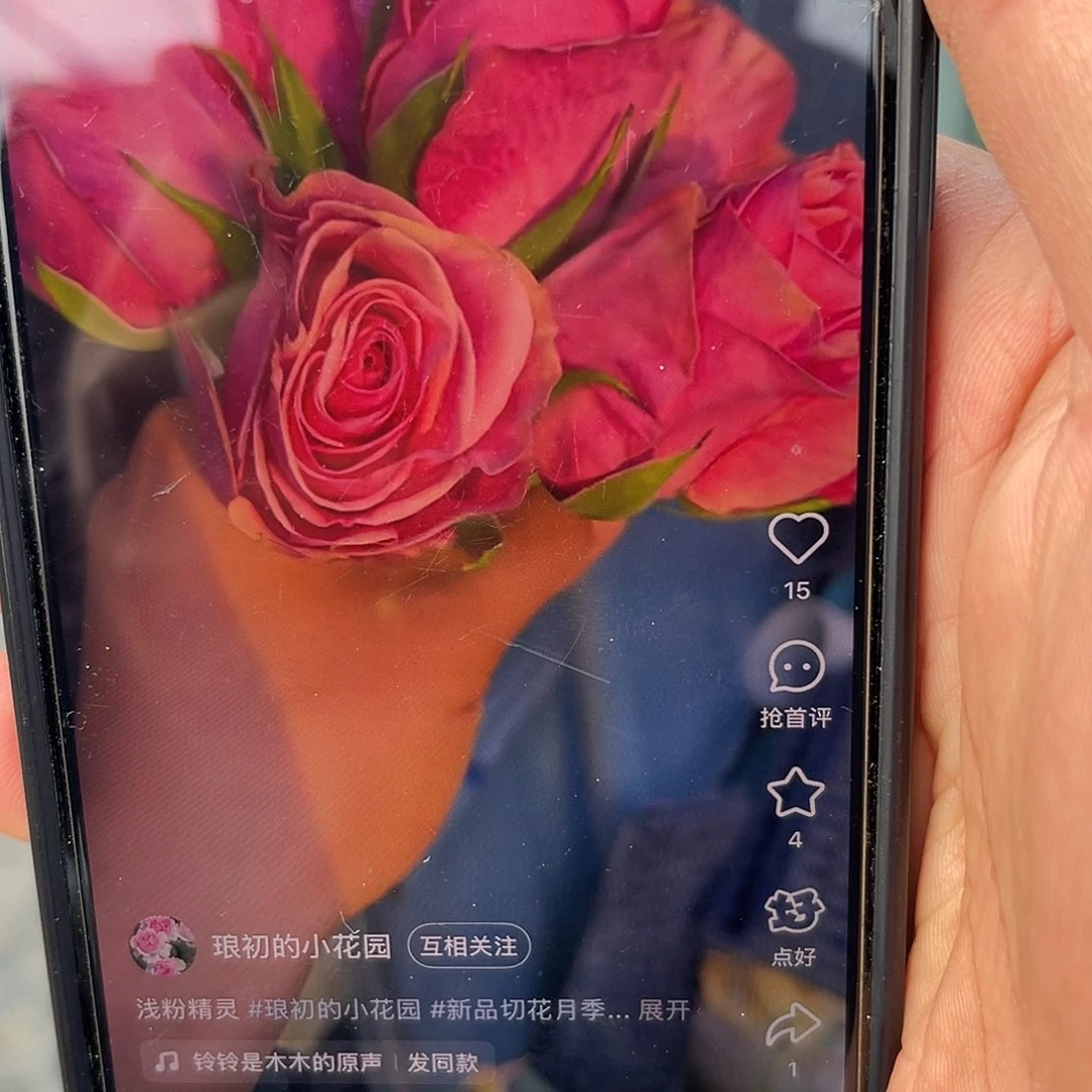 无花朵———浅粉精灵 福利款