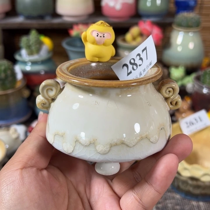 口5 手工花盆满30包邮