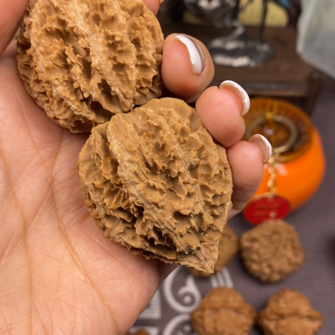 全**是秦岭南风的故事也在