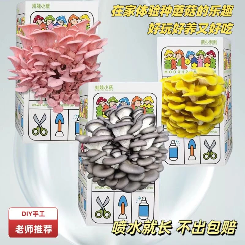 【不出包赔】蘑菇种植盒植物观察盒家庭自种蘑菇儿童科学小实验