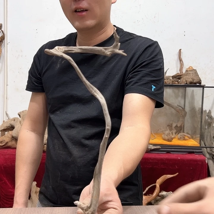 柏木回**好我们都是好孩子呀我