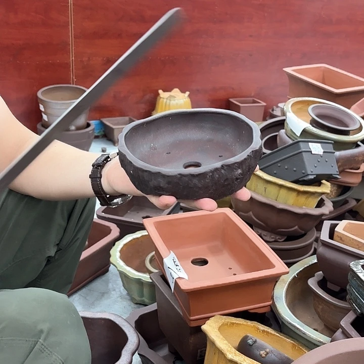 紫砂花盆紫砂的颜色很好看呀