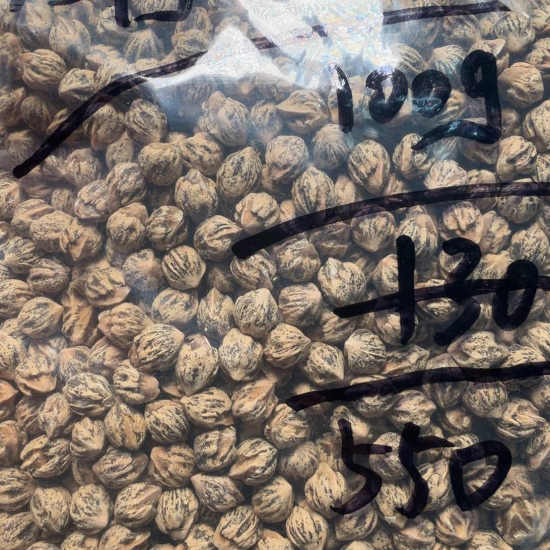 吊坠柏香籽/百香籽J****D