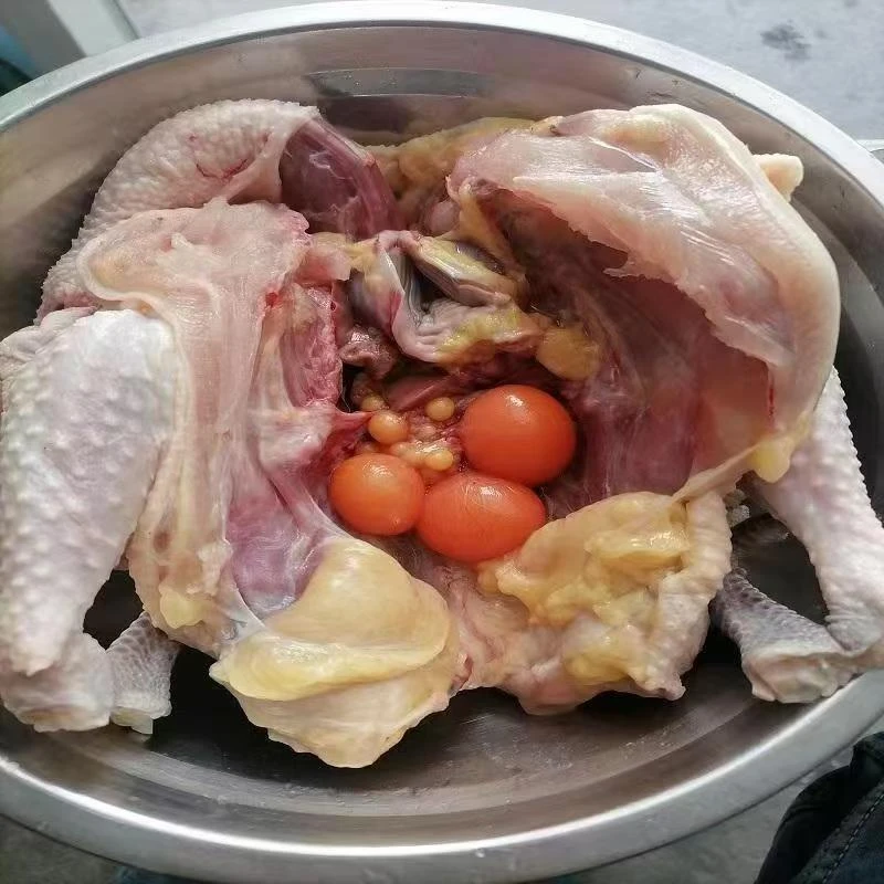 【老母鸡】沂蒙山区散养鸡【宰杀好2.5斤左右】