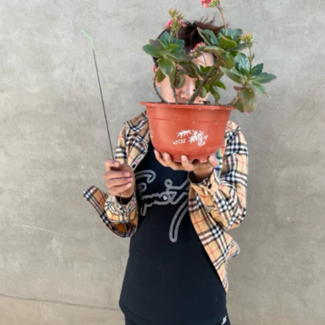 手干鱼竿干大物杆