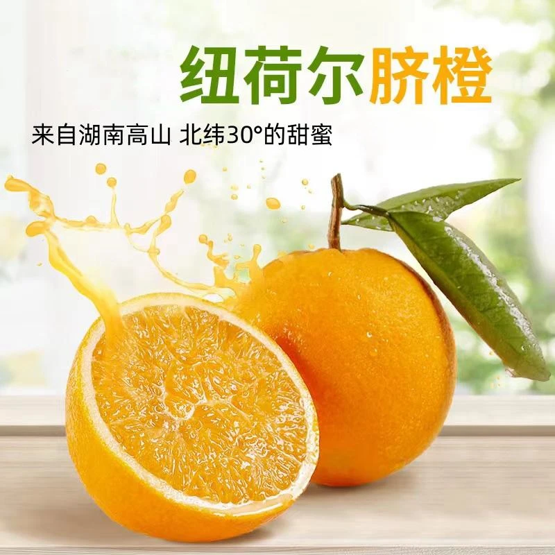 H高山纽荷尔脐橙带箱9-10斤单果70-80mm现摘现发坏果包赔20-30个
