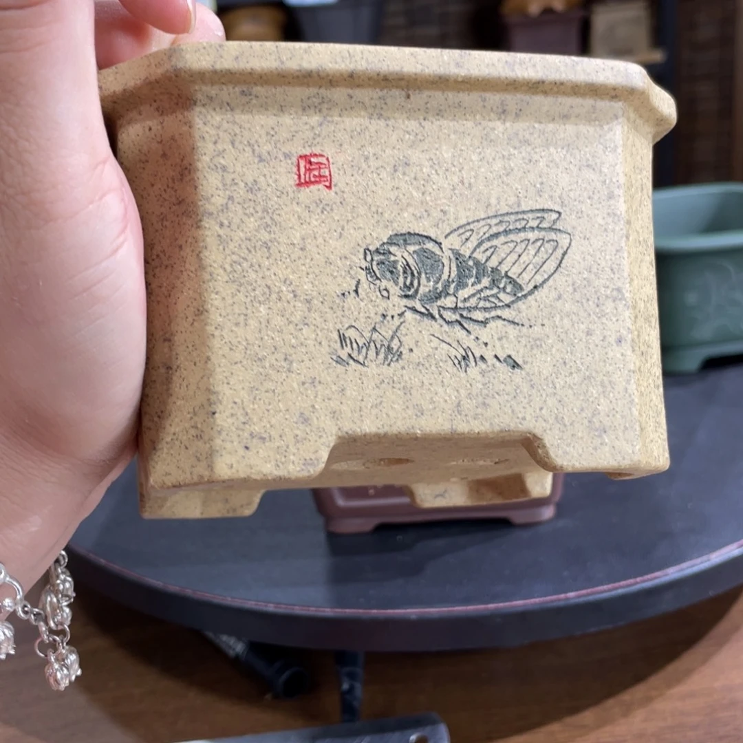 紫砂花盆紫砂花盆在