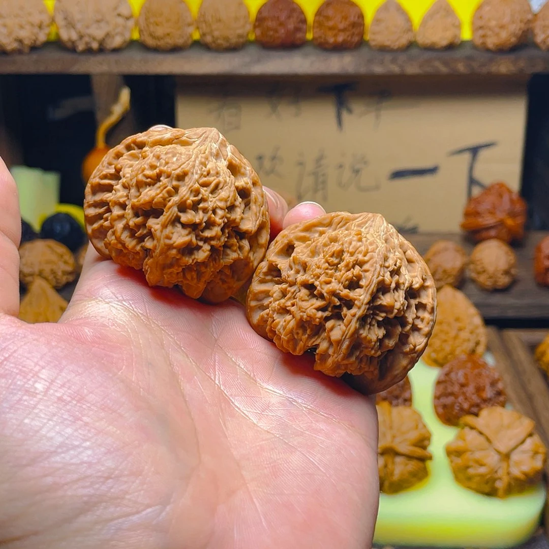 48尺全品老树红皮满天星