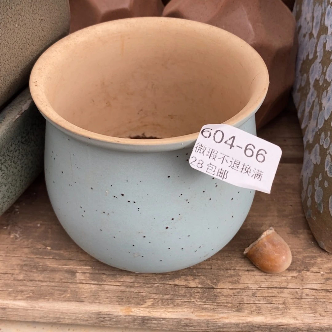 66号多肉盆口径8